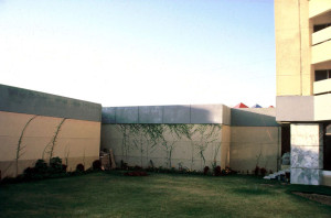 13_TT-Img8