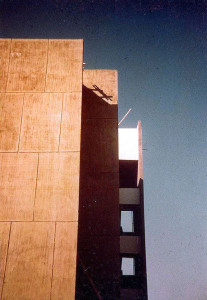 2_Nipa-Img1