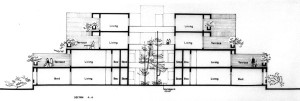 7_Shadman-Section