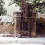 Karachi-Water-Troughs-11