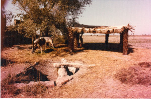 Sindh-Rural-&-Indus-Boats-1979-12