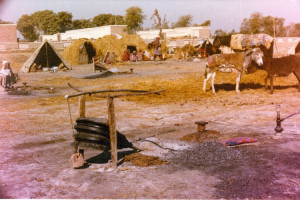 Sindh-Rural-&-Indus-Boats-1979-31