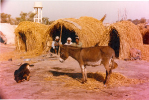Sindh-Rural-&-Indus-Boats-1979-32