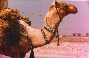 Sindh-crafts-18