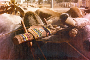 Sindh-crafts-23