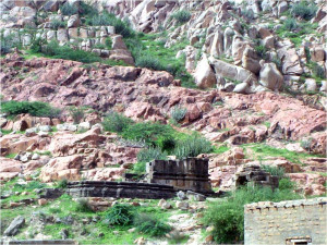 A-heritage-site-in-the-Karunjhar-range-near-Nagar
