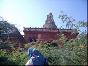 temple in Karunjhaar range near Nagar 2